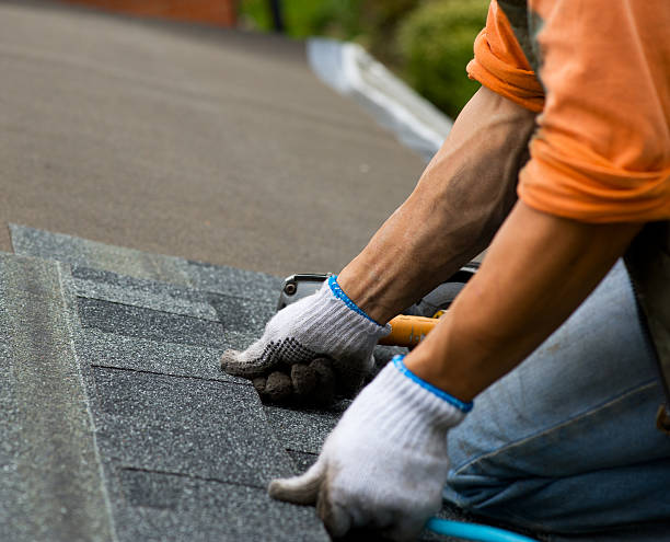 Professional Roofing Contractor in East Dundee, IL